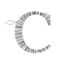 Celtic Sheepskin Company
